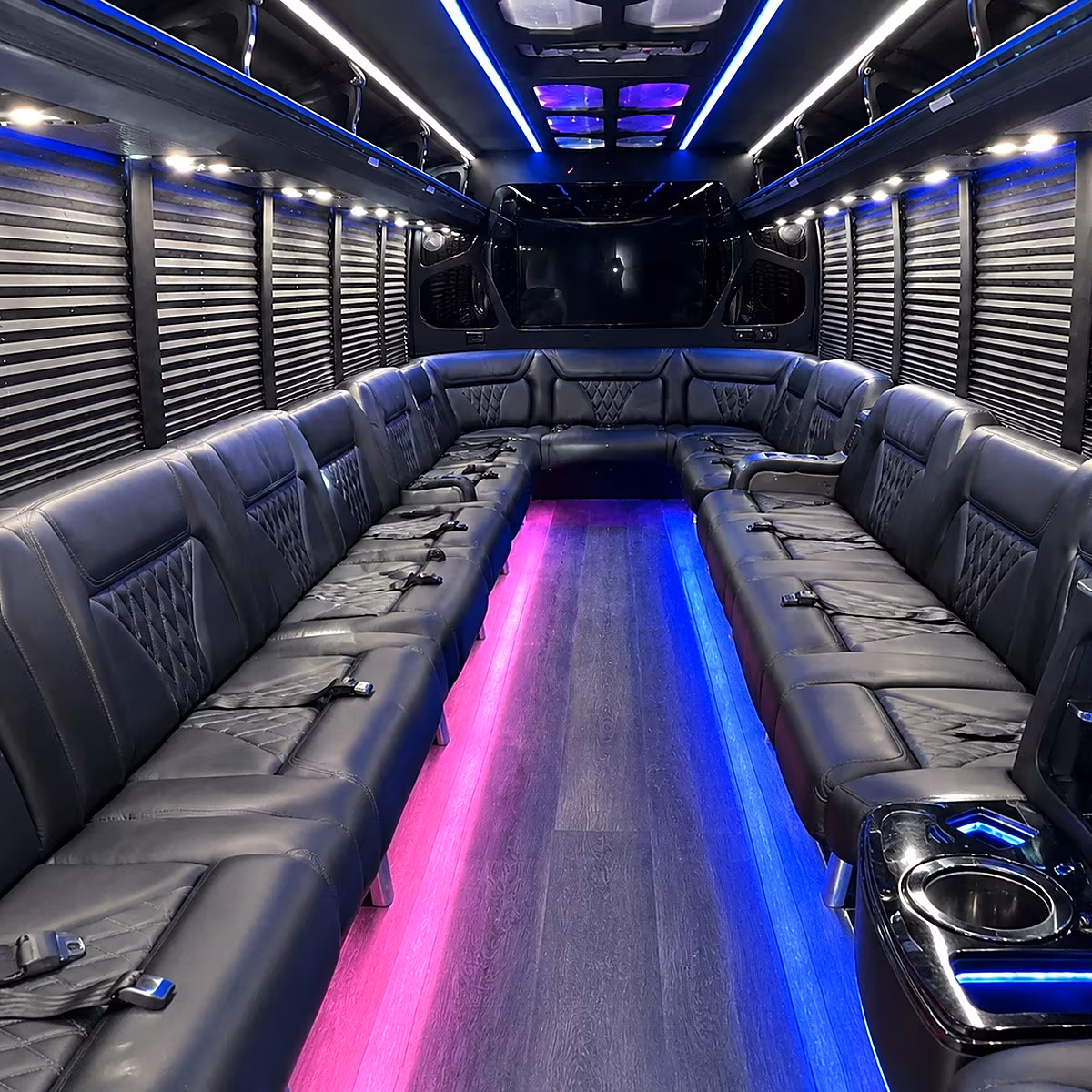 birthday party bus rental