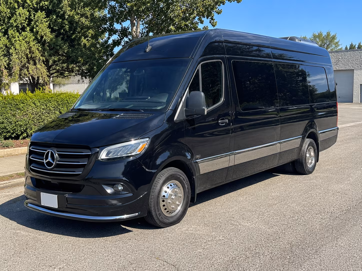 boise sprinter van with driver